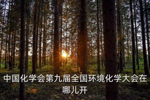 中國化學(xué)會第九屆全國環(huán)境化學(xué)大會在哪兒開