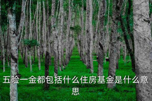 五險一金都包括什么住房基金是什么意思
