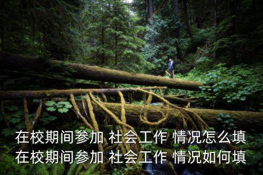 完成社會工作情況,在校參加社會實踐學生怎么寫1?
