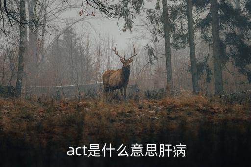 act什么意思,美國高考的英文縮寫
