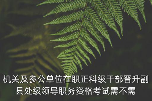機關及參公單位在職正科級干部晉升副縣處級領導職務資格考試需不需