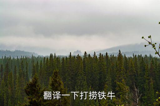 翻譯一下打撈鐵牛