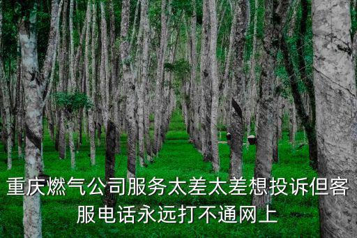 重慶市高新區天然氣服務電話，重慶市高新區石橋鋪石新路123號附109號