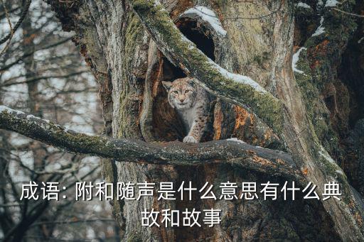 附和什么意思,隨聲附和成語:沒主見