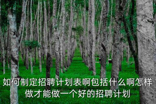 如何制定招聘計劃表啊包括什么啊怎樣做才能做一個好的招聘計劃