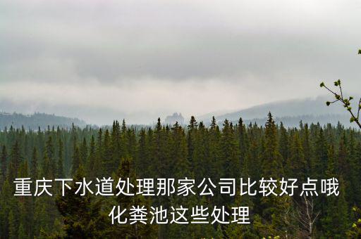 重慶下水道處理那家公司比較好點(diǎn)哦 化糞池這些處理