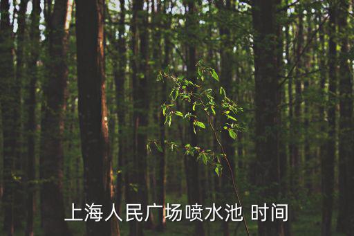上海人民廣場噴水池 時間