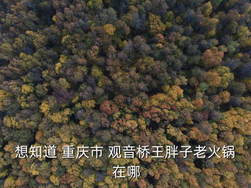 重慶市李勝利工作室，重慶北碚區蔡家崗鎮鳳棲路2號 是什么公司