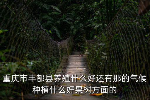 重慶市豐都縣養(yǎng)殖什么好還有那的氣候種植什么好果樹方面的