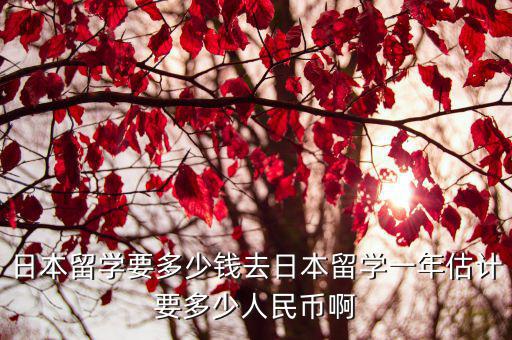 日本留學要多少錢去日本留學一年估計要多少人民幣啊