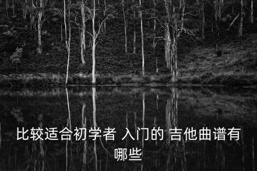 比較適合初學者 入門的 吉他曲譜有哪些