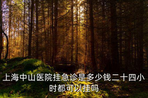 上海中山醫院掛急診是多少錢二十四小時都可以掛嗎