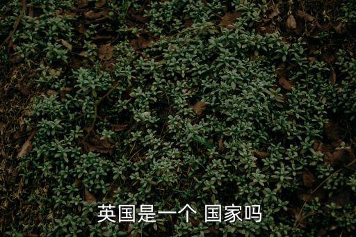  英國是一個 國家嗎