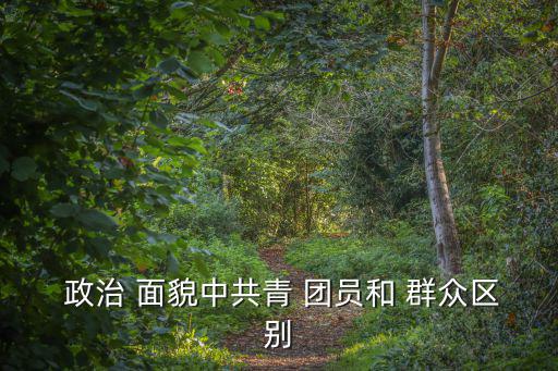  政治 面貌中共青 團員和 群眾區別