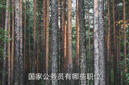 國家工作人員職位，國家公務員有哪些職位