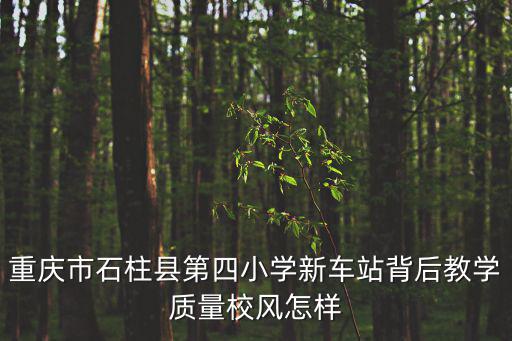 重慶市石柱縣第四小學新車站背后教學質(zhì)量校風怎樣