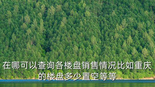 在哪可以查詢各樓盤銷售情況比如重慶的樓盤多少置空等等