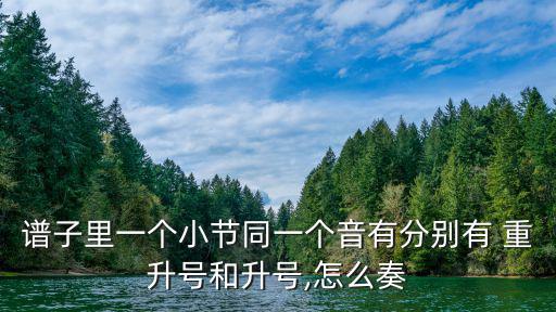 譜子里一個小節同一個音有分別有 重升號和升號,怎么奏