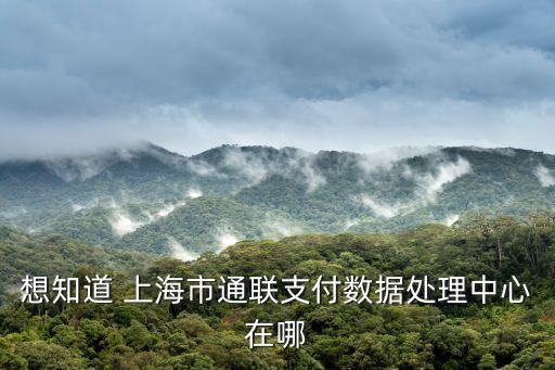 浦東大數據中心地址，上海訊聯數據服務有限公司在浦東新區哪個地方