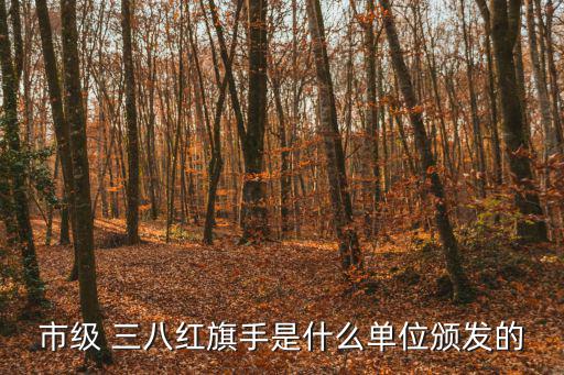 市級 三八紅旗手是什么單位頒發的