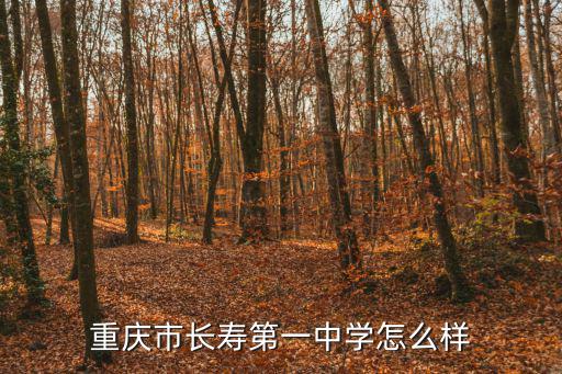 重慶市長壽第一中學怎么樣