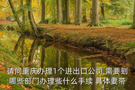 請問重慶辦理1個進出口公司 需要到哪些部門辦理些什么手續 具體要帶