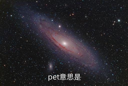 pet的意思,一文讀懂!英國男子如何藏尸枕頭