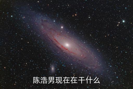 陳浩男現在在干什么
