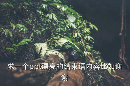 求一個ppt漂亮的結束語內容比如謝謝