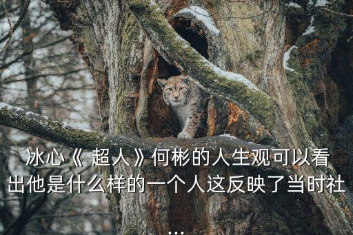 冰心超人,冰心11歲時以詩歌和散文走進文學殿堂