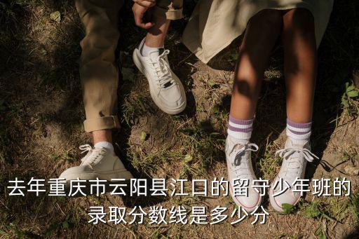 去年重慶市云陽縣江口的留守少年班的錄取分數線是多少分