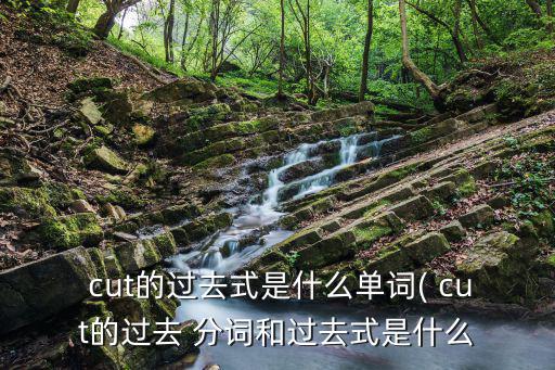  cut的過去式是什么單詞( cut的過去 分詞和過去式是什么