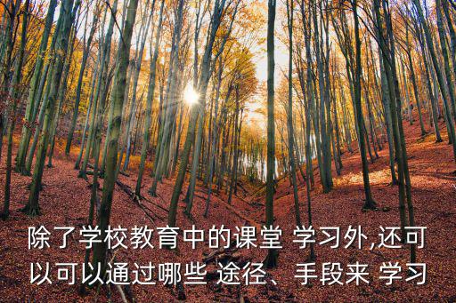 除了學(xué)校教育中的課堂 學(xué)習(xí)外,還可以可以通過哪些 途徑、手段來 學(xué)習(xí)