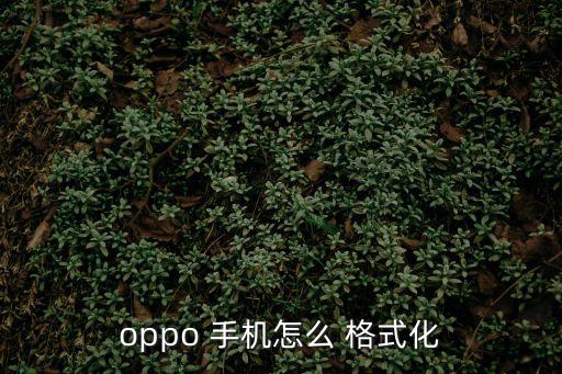 格式化手機,關閉手機解鎖攻略!