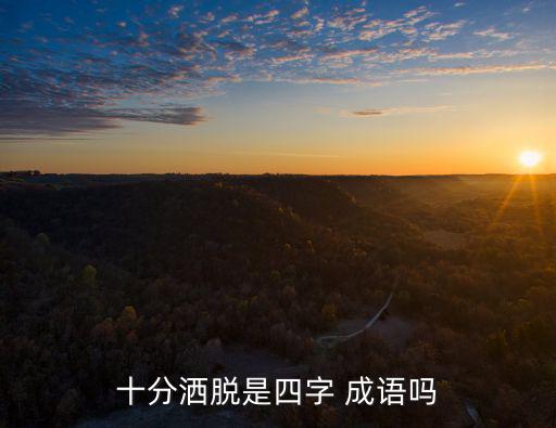 十分灑脫是四字 成語嗎
