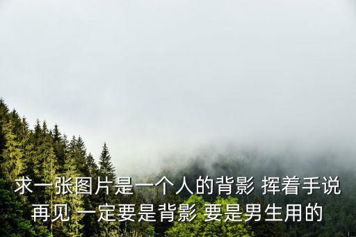求一張圖片是一個(gè)人的背影 揮著手說(shuō)再見(jiàn) 一定要是背影 要是男生用的
