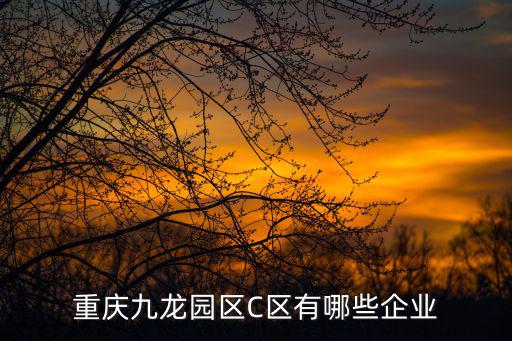 重慶市飛洋創拓兩港中心建設信息，重慶九龍園區C區有哪些企業