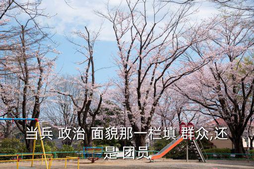 當兵 政治 面貌那一欄填 群眾,還是 團員