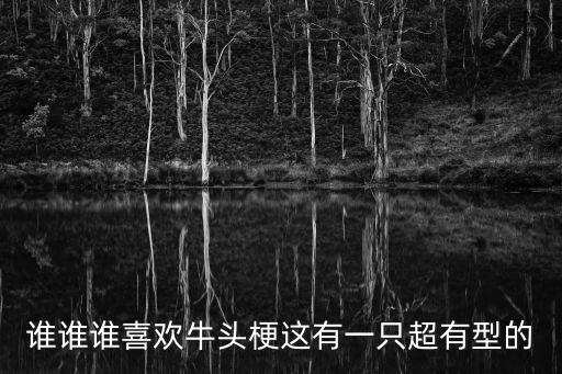 誰誰誰喜歡牛頭梗這有一只超有型的