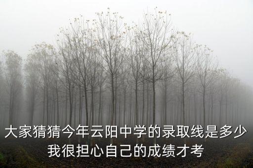 大家猜猜今年云陽(yáng)中學(xué)的錄取線是多少我很擔(dān)心自己的成績(jī)才考