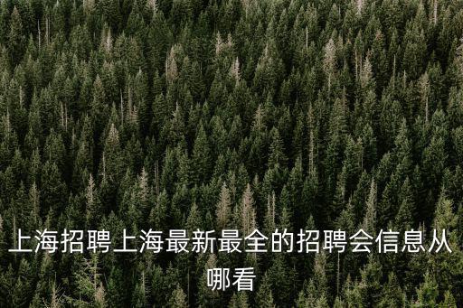上海招聘上海最新最全的招聘會信息從哪看