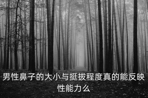 男性鼻子的大小與挺拔程度真的能反映性能力么