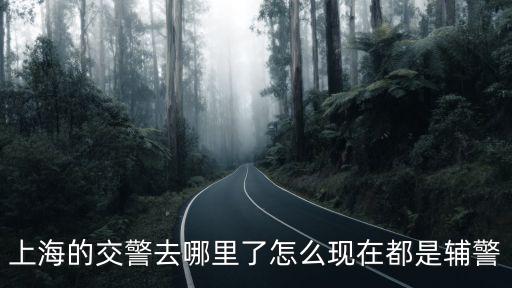 上海的交警去哪里了怎么現(xiàn)在都是輔警