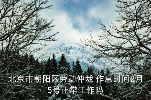 北京市朝陽區勞動仲裁 作息時間2月5號正常工作嗎