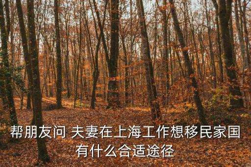 幫朋友問 夫妻在上海工作想移民家國有什么合適途徑