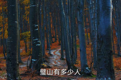 璧山有多少人