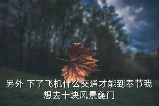 另外 下了飛機什么交通才能到奉節我想去十塊風景夔門