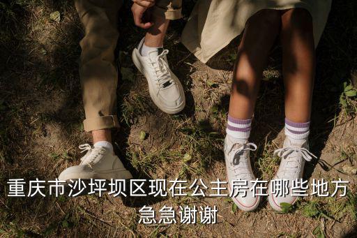 重慶市沙坪壩區現在公主房在哪些地方急急謝謝