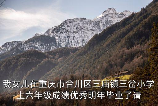 重慶市三合鎮(zhèn)中心小學(xué)，洪合鎮(zhèn)中心小學(xué)王江涇鎮(zhèn)中心小學(xué)油車港鎮(zhèn)實(shí)驗(yàn)小學(xué)這三個(gè)學(xué)校哪