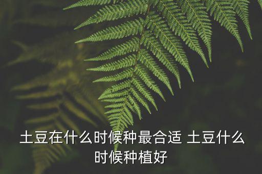  土豆在什么時(shí)候種最合適 土豆什么時(shí)候種植好
